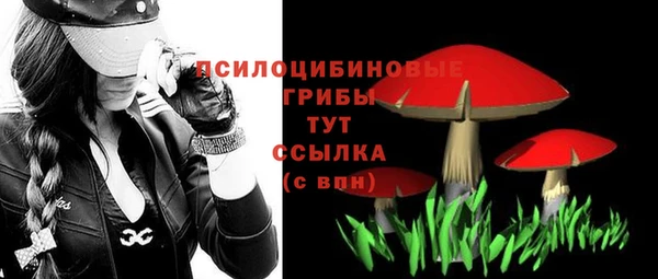 apvp Алексин