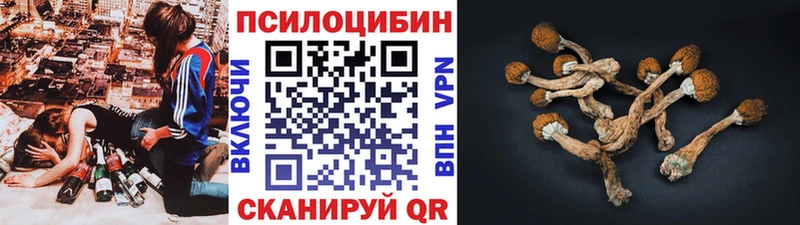 Псилоцибиновые грибы ЛСД Грязовец